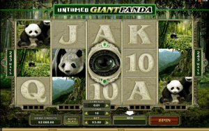 Untamed giant panda