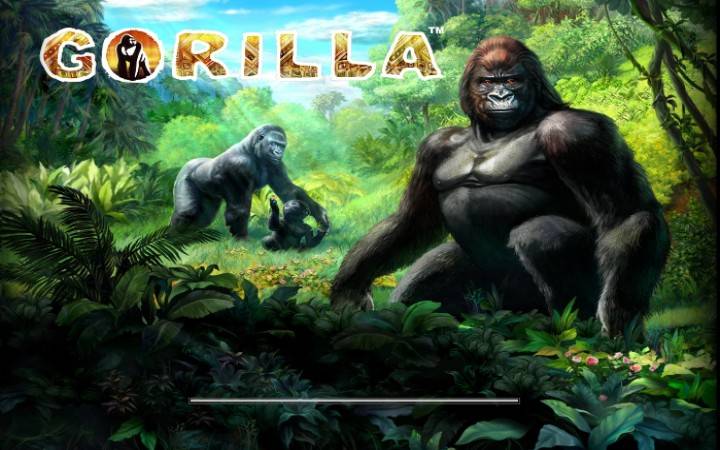 Gorilla, Online Casino Bonus