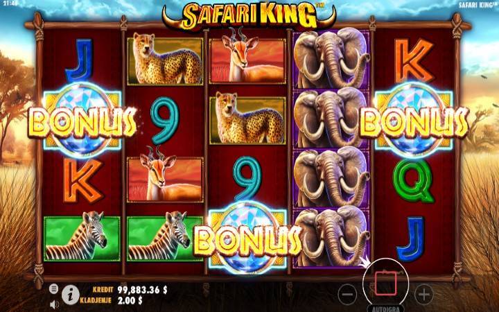 Free Spins, Online Casino Bonus, Safari King