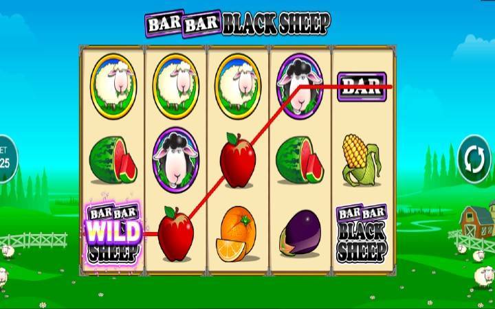 Bar bar black sheep2