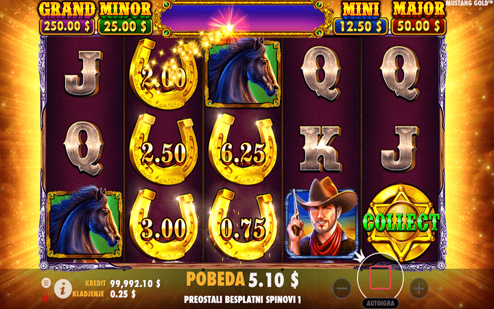 Top 5 slots with animals