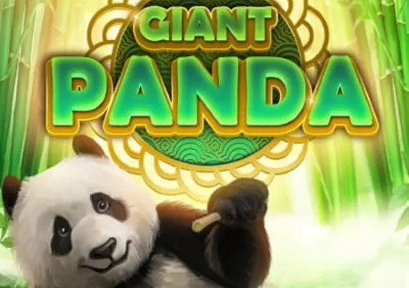 giant panda